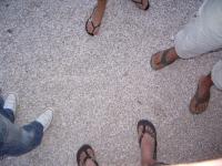 IMGP2515 Hyeres c'est le pied II